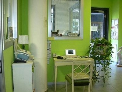 La Toletta - Toelettatura Animali - Foto 3