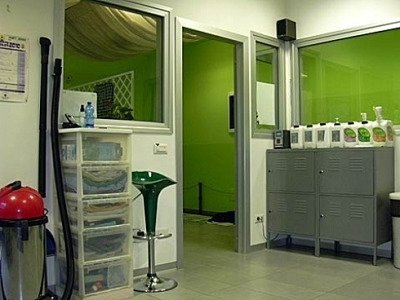 La Toletta - Toelettatura Animali - Foto 4