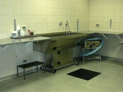 La Toletta - Toelettatura Animali - Foto 6