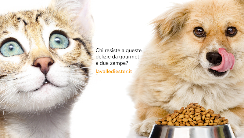 La Valle di Ester - Foto 4