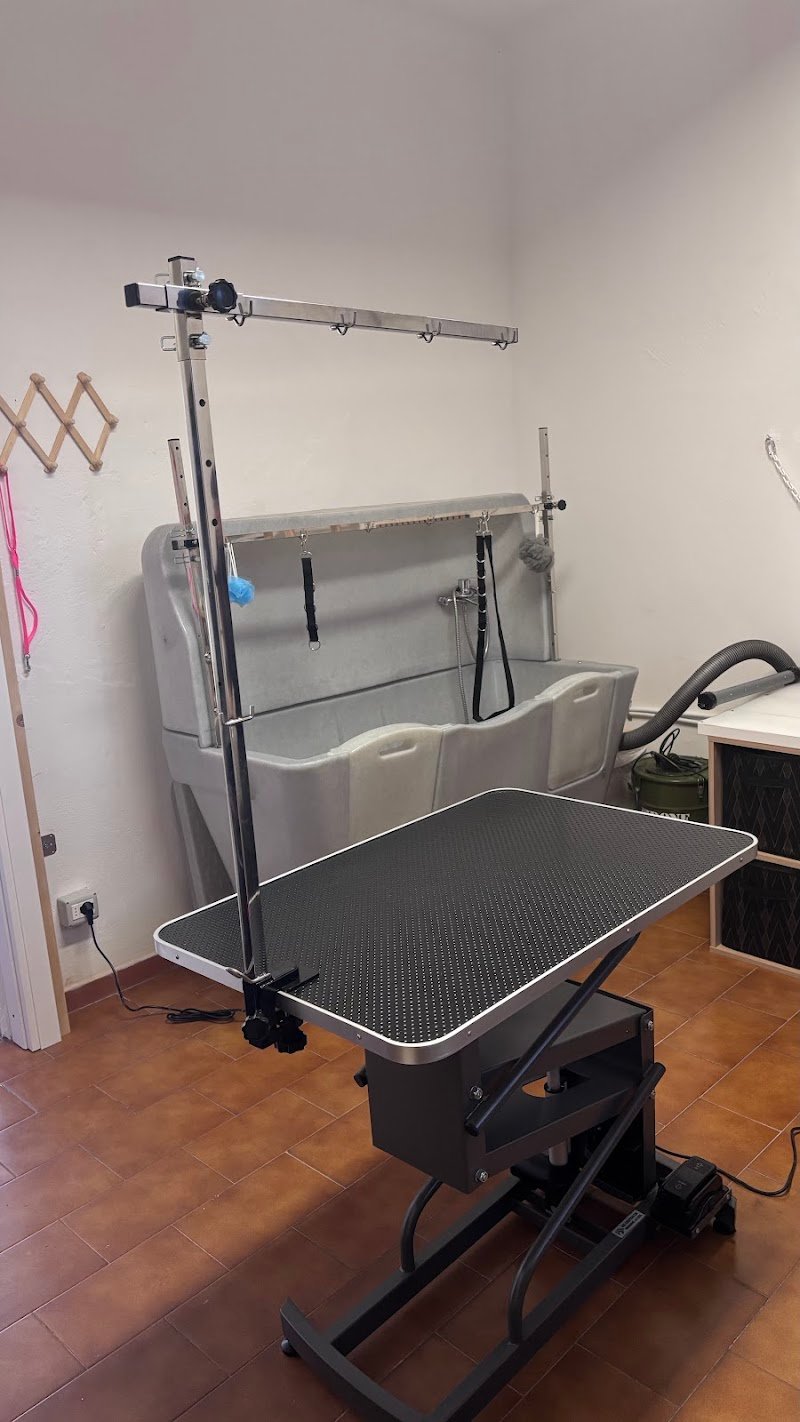 La zampa di Zazu Toelettatura - Foto 4