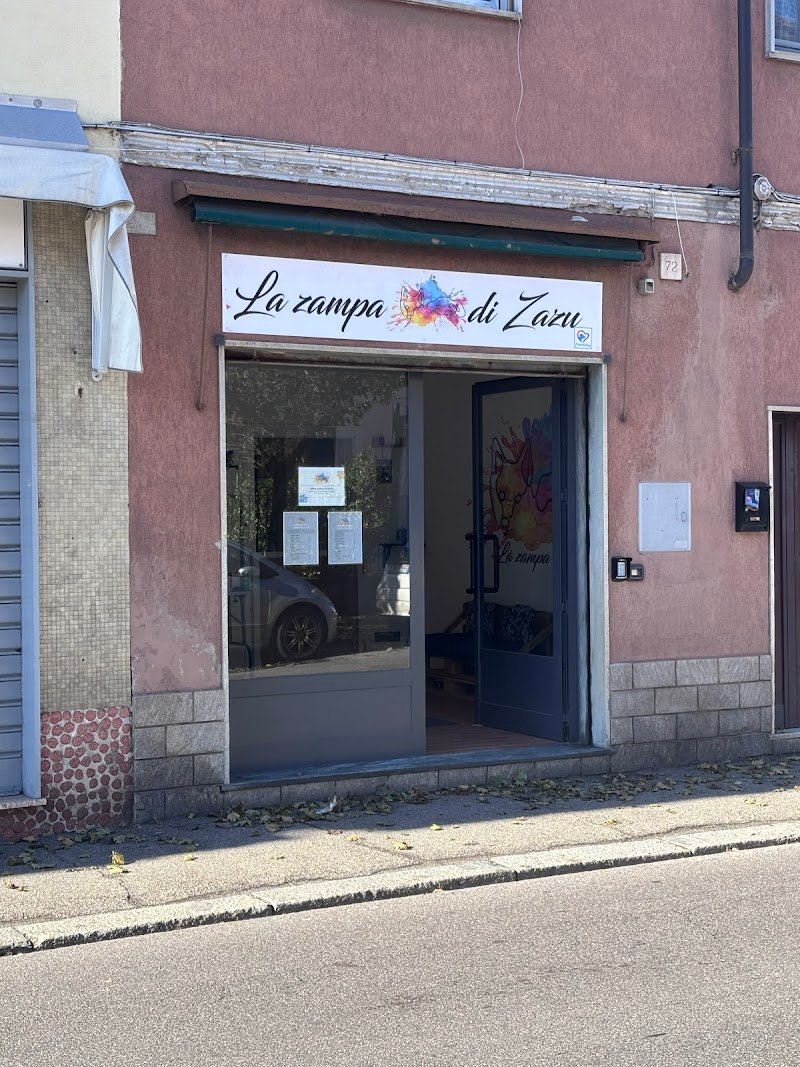 La zampa di Zazu Toelettatura - Foto 6