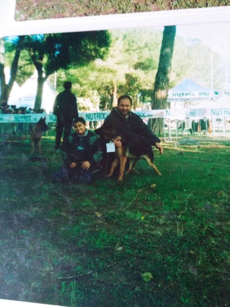 La zampa nel cuore di Giuseppe Mattia - Foto 2