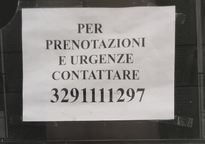 La zampa nel cuore di Giuseppe Mattia - Foto 3