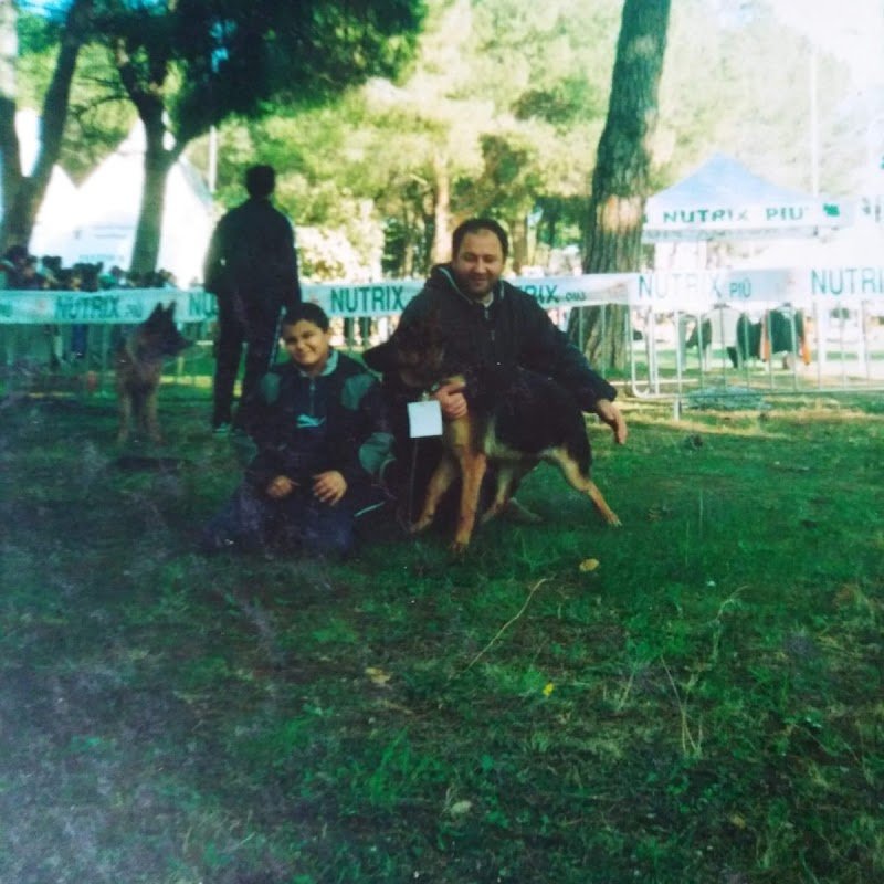 La zampa nel cuore di Giuseppe Mattia - Foto 5