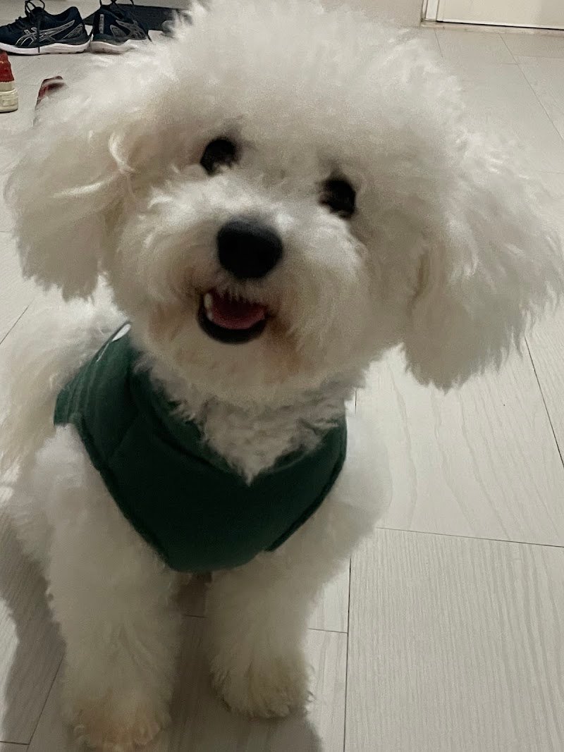 Lacca e Brillantina - Foto 2