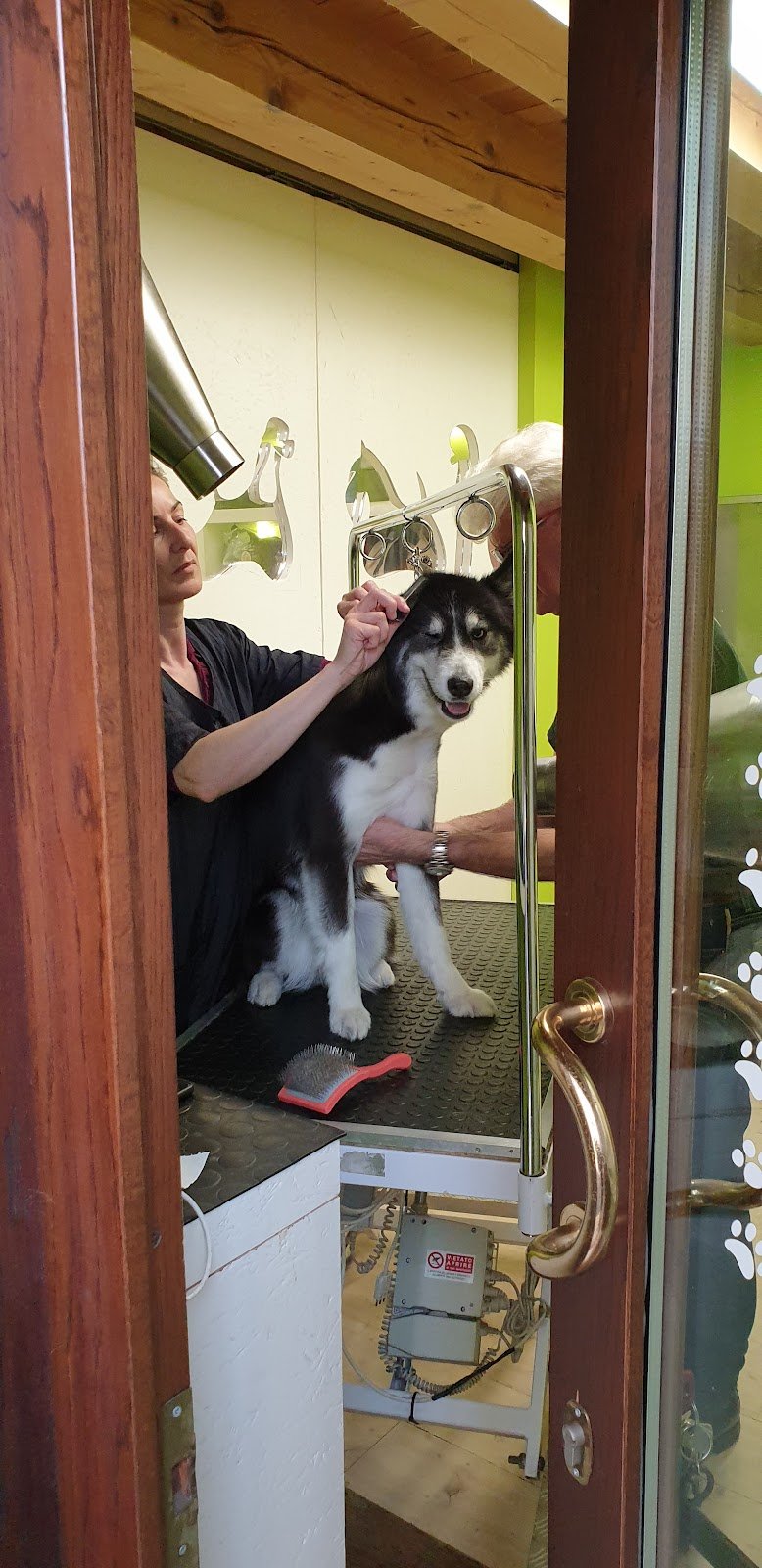 Lala' - Pet a Porter - Foto 5