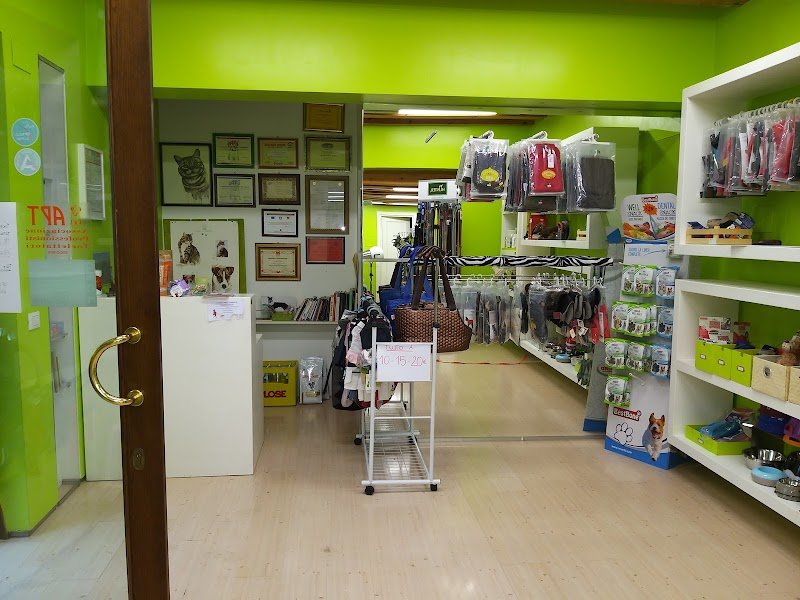 Lala' - Pet a Porter - Foto 6