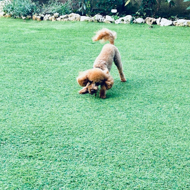 L'Altra Meta' del Cielo - Foto 2