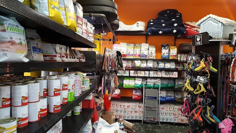 L’angolo Bestiale - Foto 2