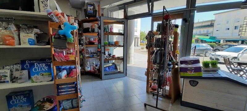 L'Angolo Degli Animali Viterbo - Foto 2