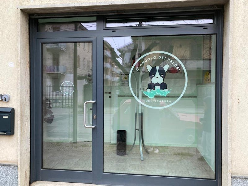 L'angolo dei Pelosi Toelettatura - Foto 1