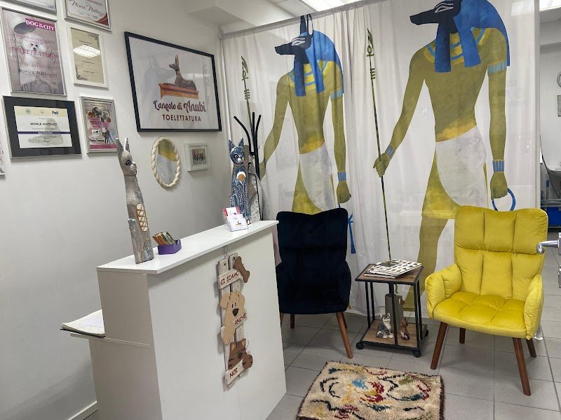 L'Angolo di Anubi, toelettatura cani e gatti - Foto 2