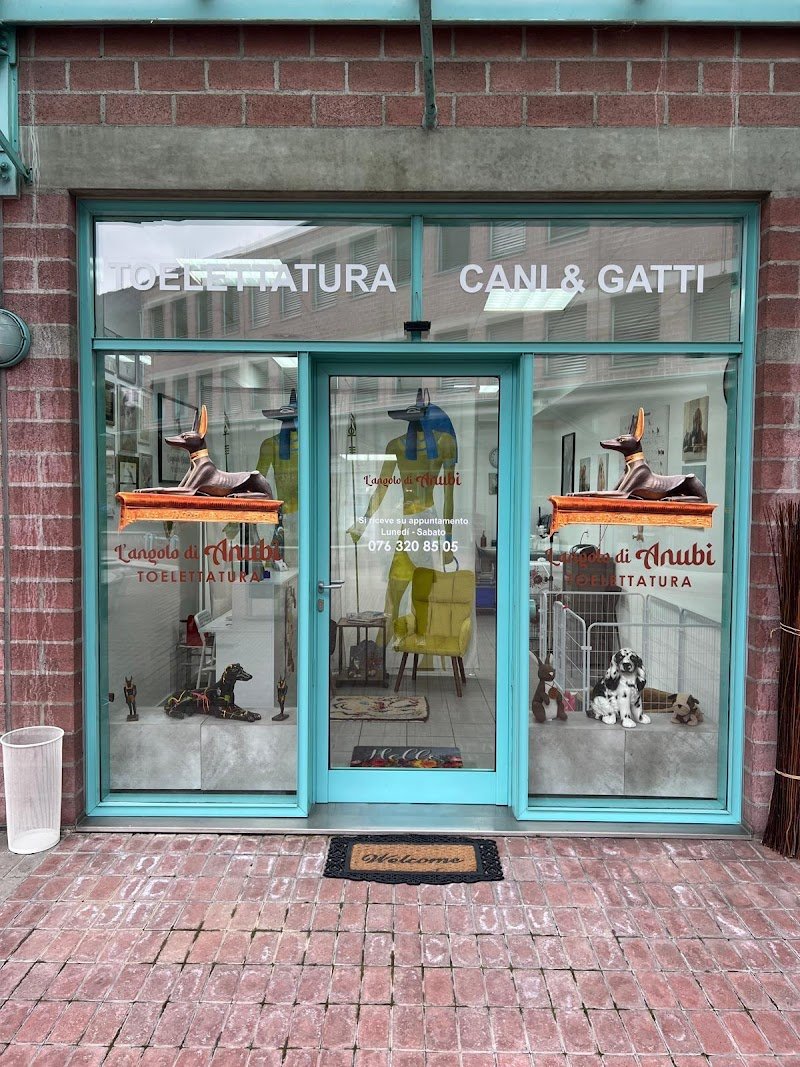 L'Angolo di Anubi, toelettatura cani e gatti - Foto 6