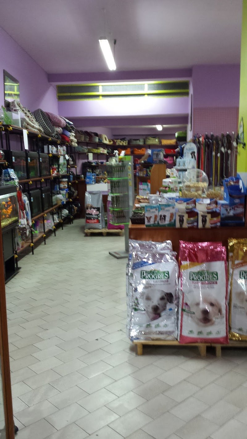 L'arca di noé - Foto 2