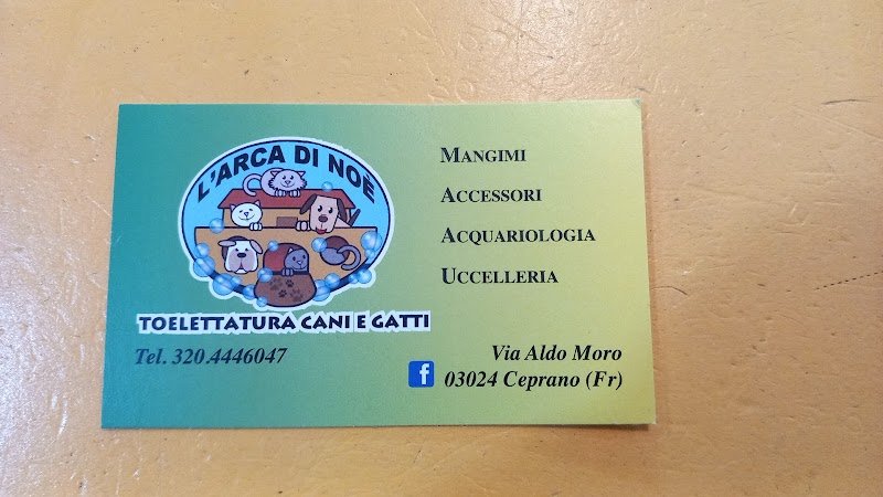 L'ARCA DI NOÈ - Foto 4