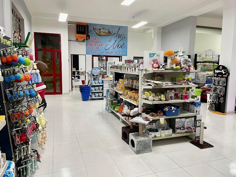 L'Arca Di Noe' Di Cucinieri Paride - Foto 1