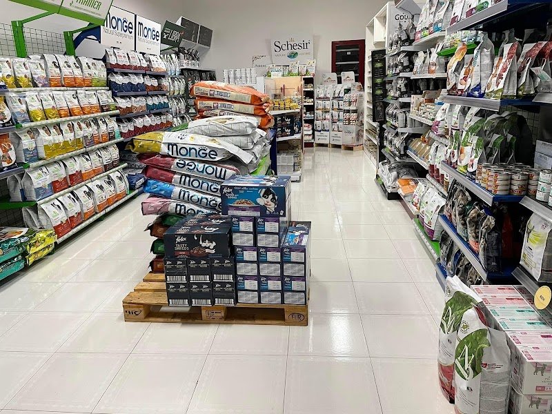 L'Arca Di Noe' Di Cucinieri Paride - Foto 2