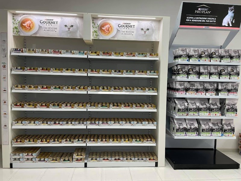 L'Arca Di Noe' Di Cucinieri Paride - Foto 3