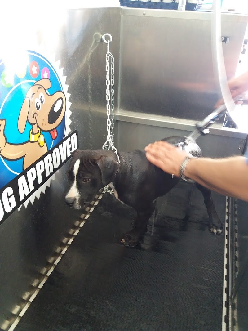 L'Arca Di Noe' Di Cucinieri Paride - Foto 4