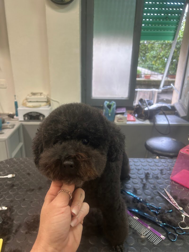 L'Arca Di Noe' di Ginevra Malvolti - Foto 2