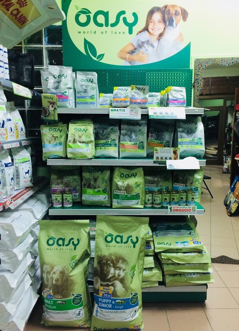 L'Arca Di Noè di Pace Ioele - Foto 1