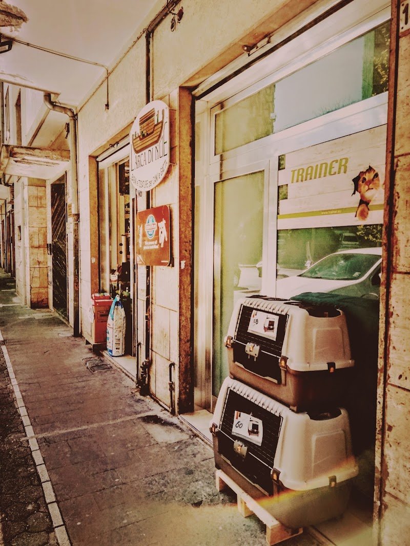 L'Arca Di Noe' Di Pellegrino Anna - Foto 3