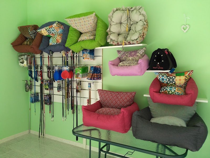 L'arca di Noè - Foto 1