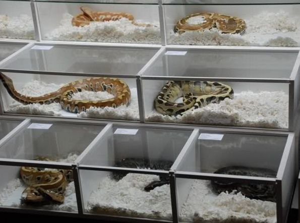 L'Arca di Noè Taranto - Foto 2