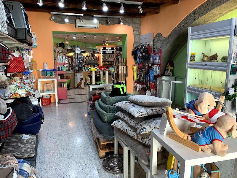 L'Arca di Noè - Toelettatura, Negozio per Animali, Parafarmacia Veterinaria, Lavanderia, Acquariologia - Foto 4