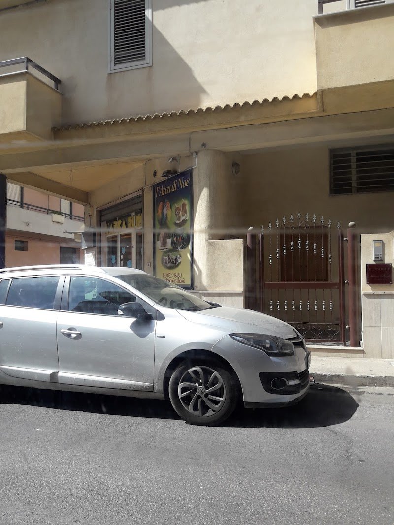 L'Arca Di Noè - Foto 6