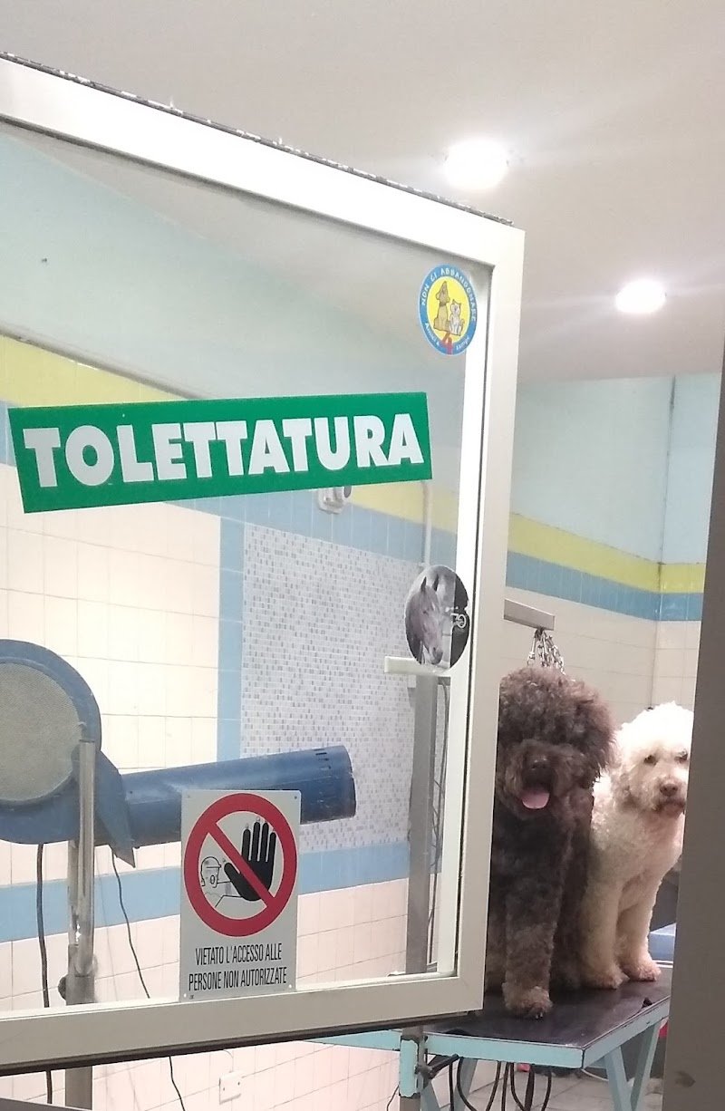 L'Arca - Tutto per gli Animali - Foto 4