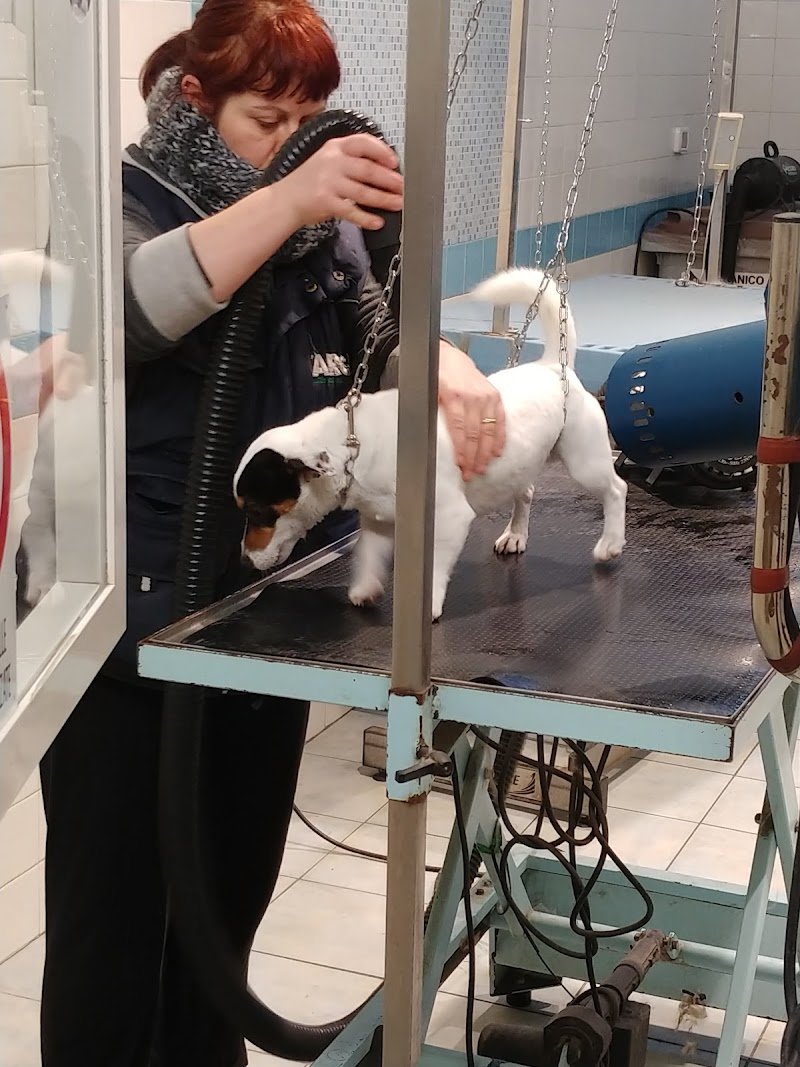 L'Arca - Tutto per gli Animali - Foto 5