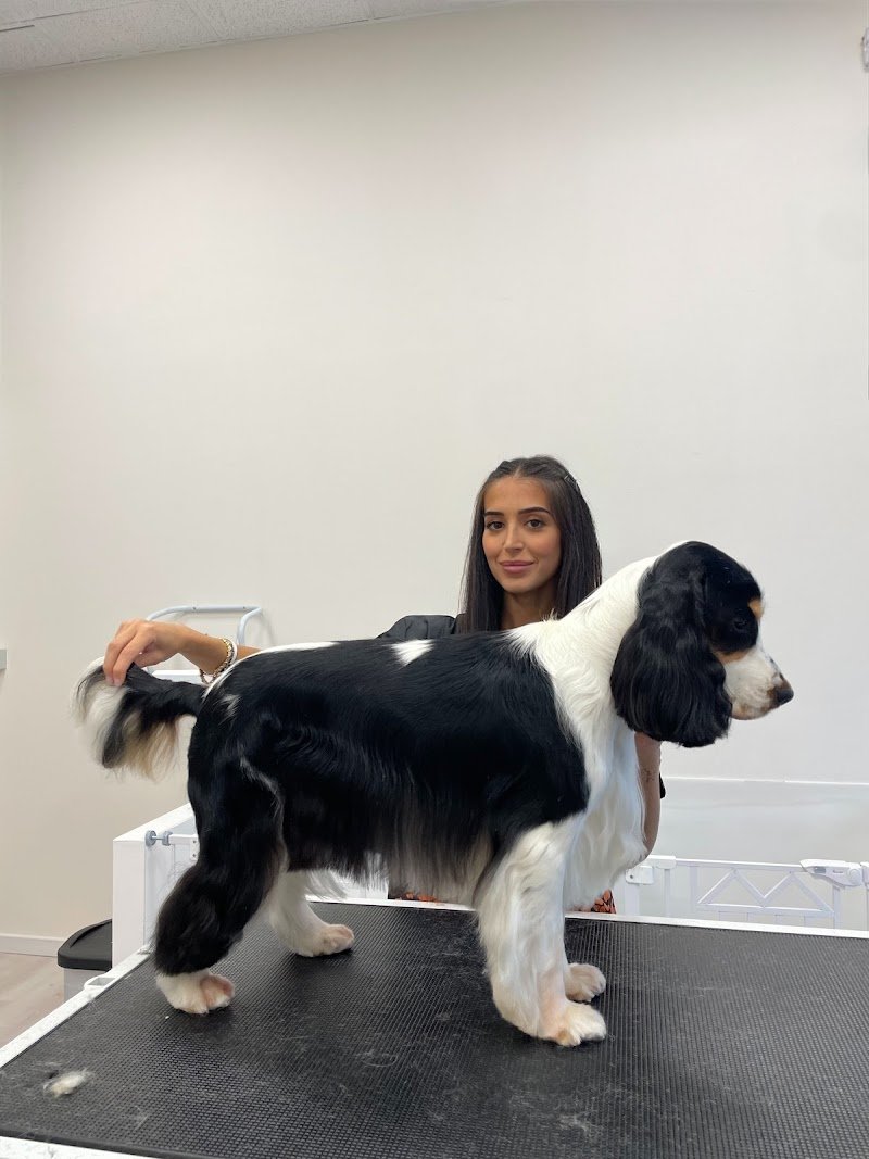 L’arte a 4 zampe - Foto 1