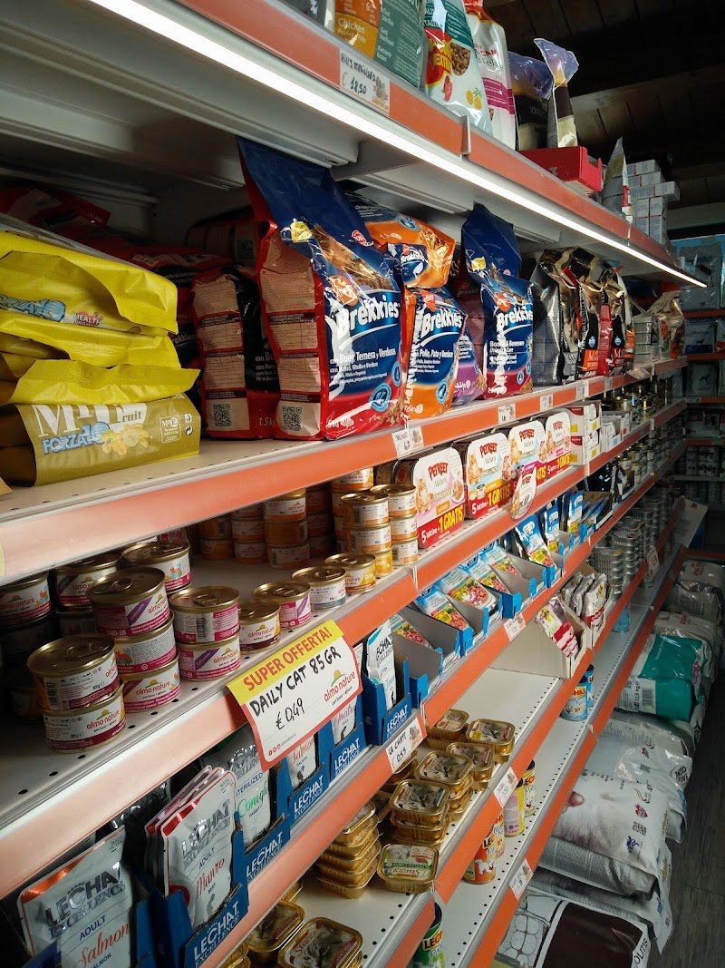 L'Atelier Del Cane - Foto 4