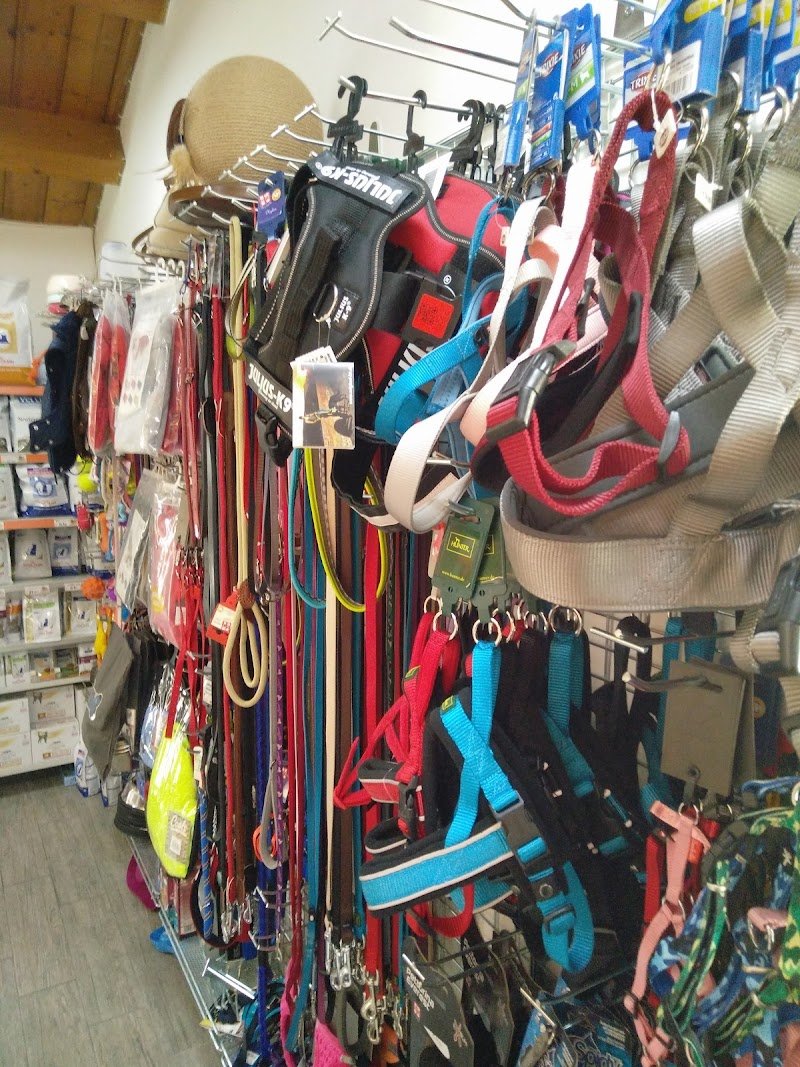 L'Atelier Del Cane - Foto 5