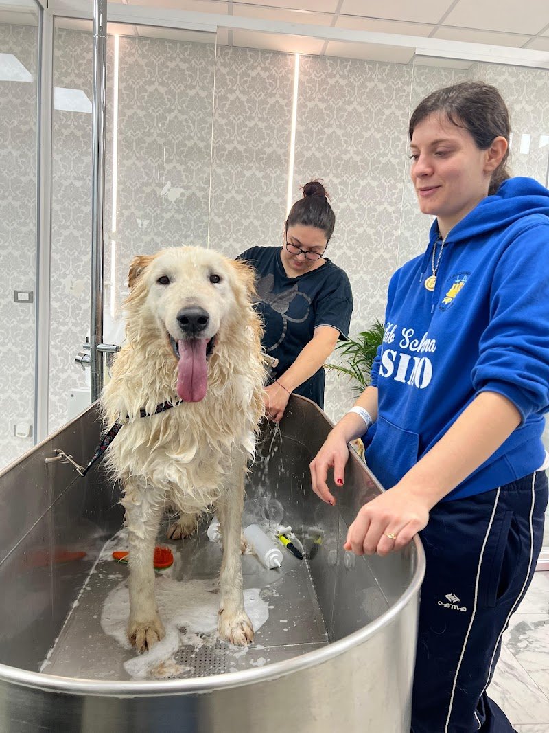 Laura eMme Grooming Atelier Toelettatura - Foto 3