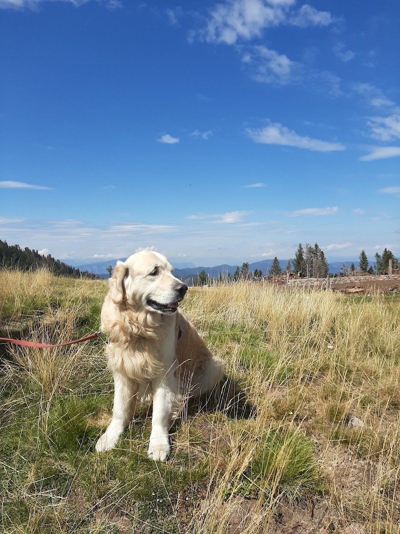 Lavabau Belgioioso - Foto 2