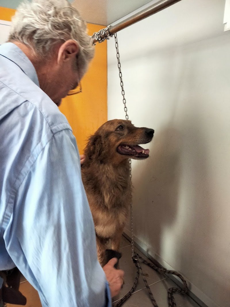 Lavaggio cani self service Ti gà lavà el can? - Foto 4