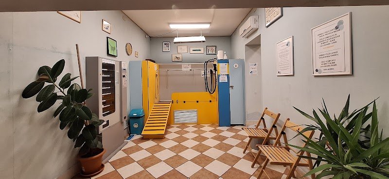Lavaggio cani self service Ti gà lavà el can? - Foto 5
