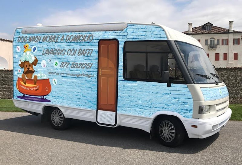 Lavaggio coi baffi - Foto 1