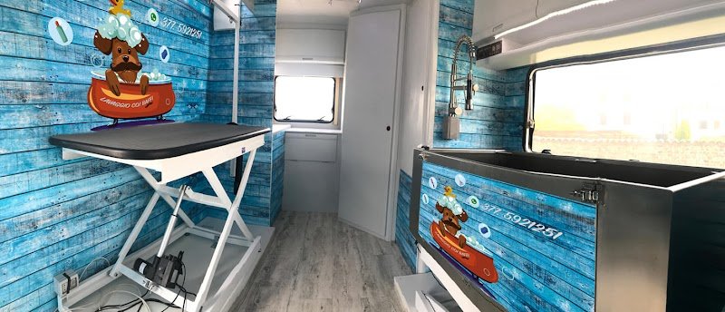 Lavaggio coi baffi - Foto 2