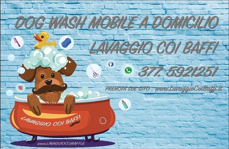 Lavaggio coi baffi - Foto 3