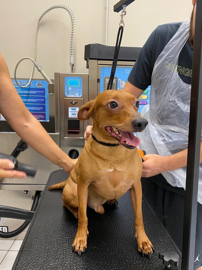 lavaggio self service per cani Eren.dogwash - Foto 1