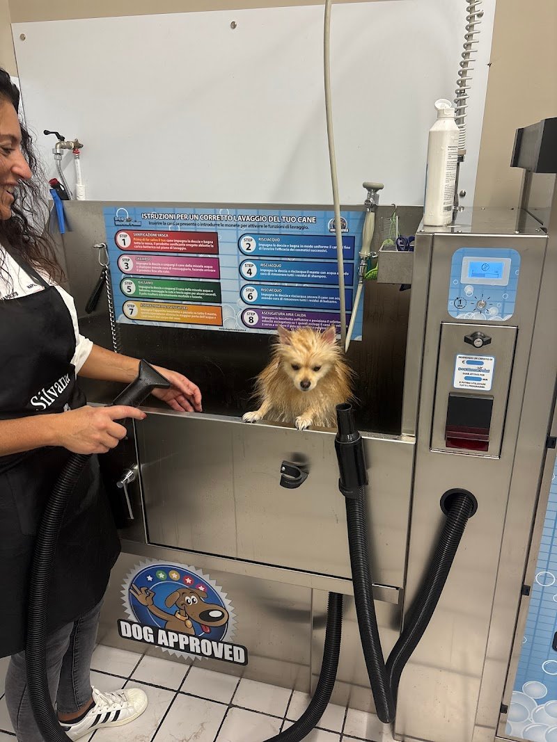 lavaggio self service per cani Eren.dogwash - Foto 3