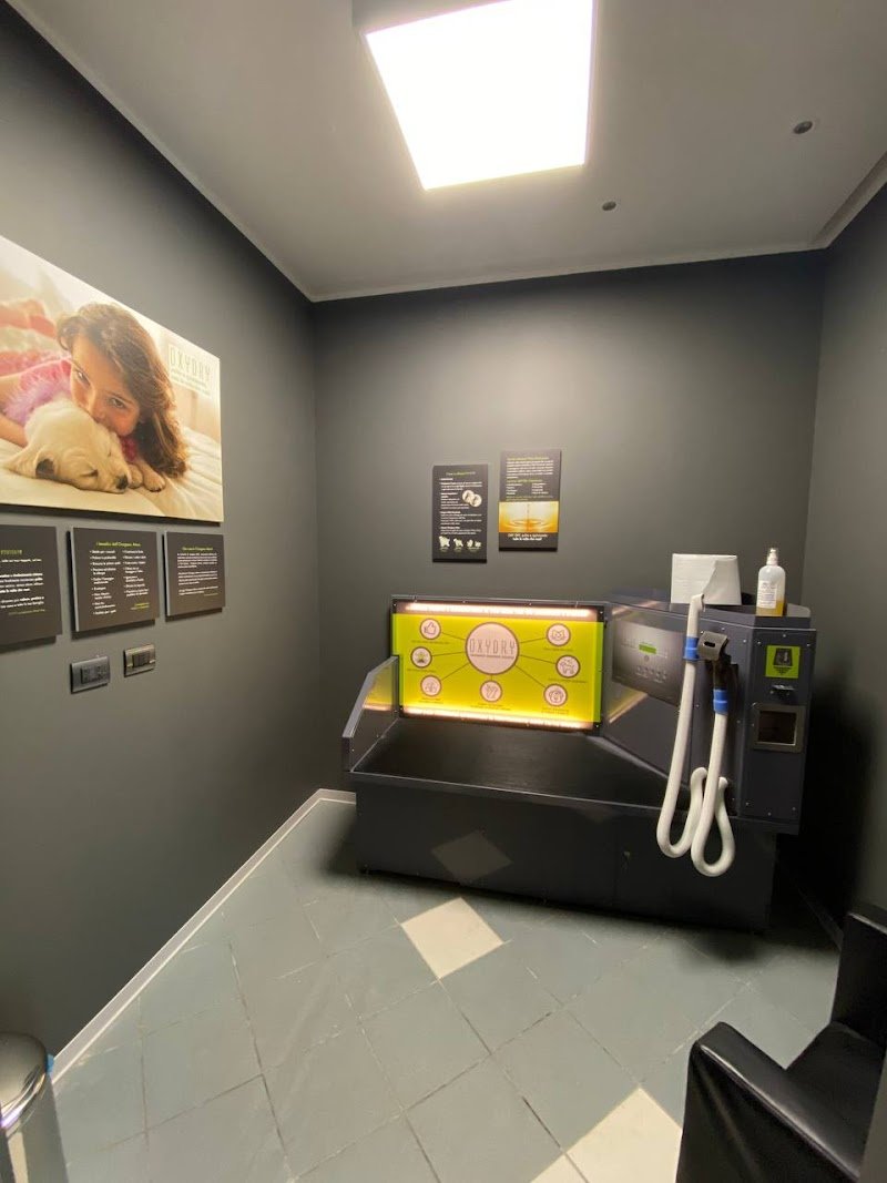 Lavaggio Self Service per i cani aperto 24H per i tesserati, Toelettatura professionale, ossigenoterapia, negozio - Foto 6