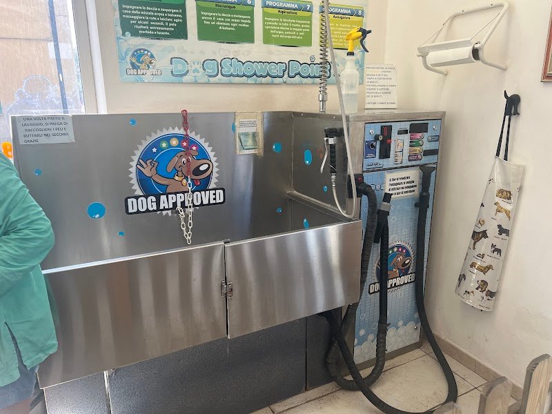 Lavaggio Self Service per il tuo amico a 4 zampe. "Bagno Di Coccole". - Foto 2