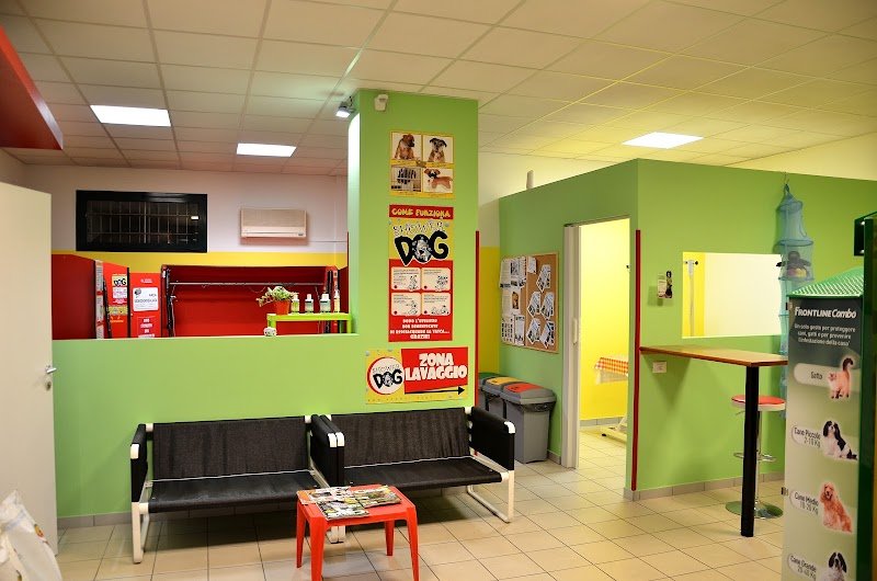 Laval Dog lavaggio cani selfservice - Foto 2