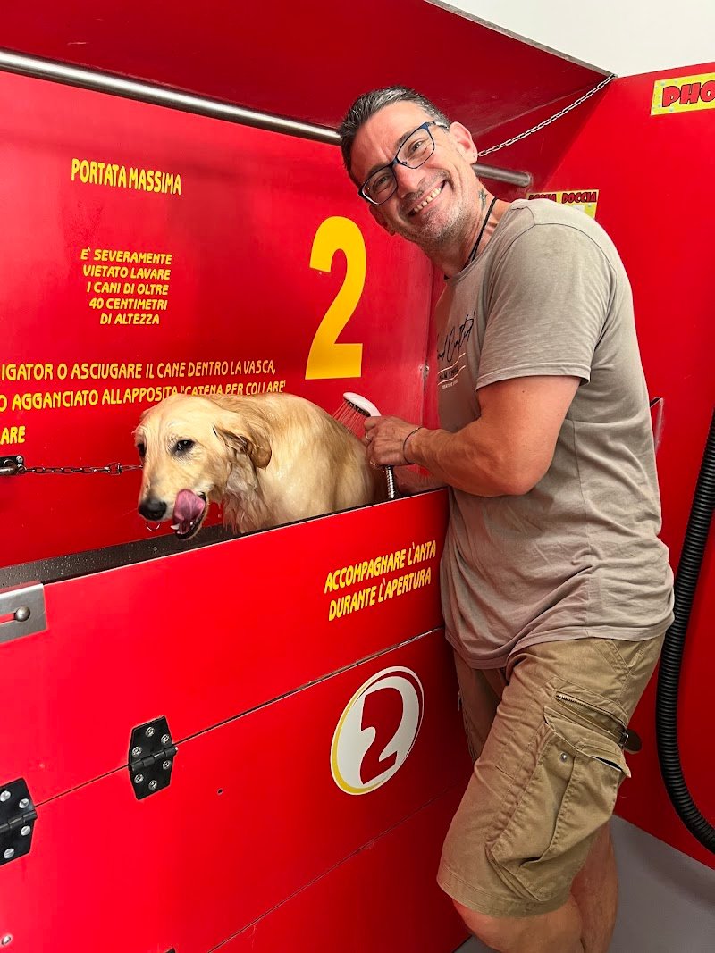 Laval Dog lavaggio cani selfservice - Foto 3