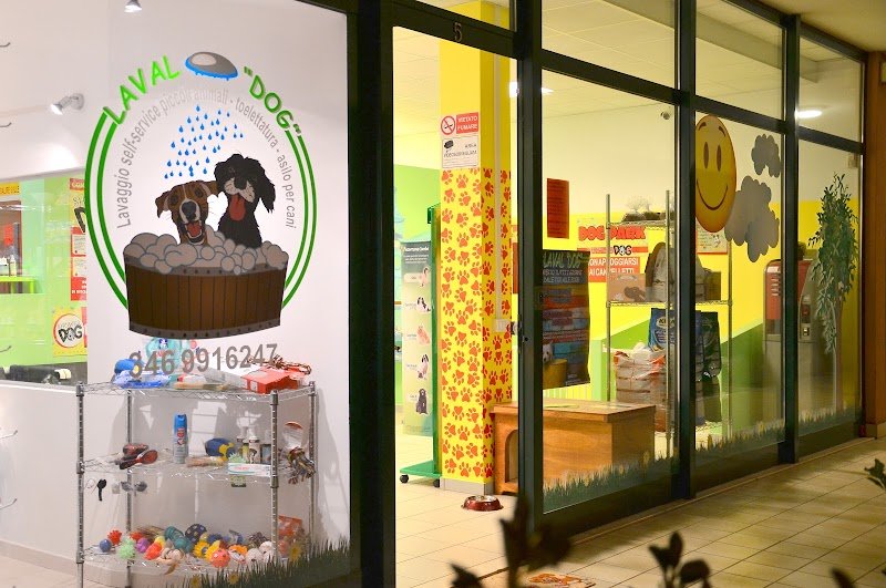 Laval Dog lavaggio cani selfservice - Foto 6